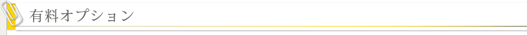 有料オプション